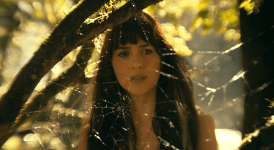 Madame Web Dakota Johnson looks at a web in forest