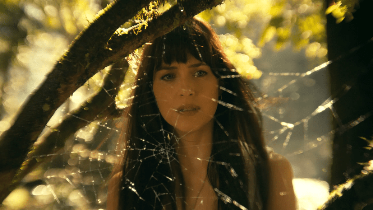 Madame Web Dakota Johnson looks at a web in forest