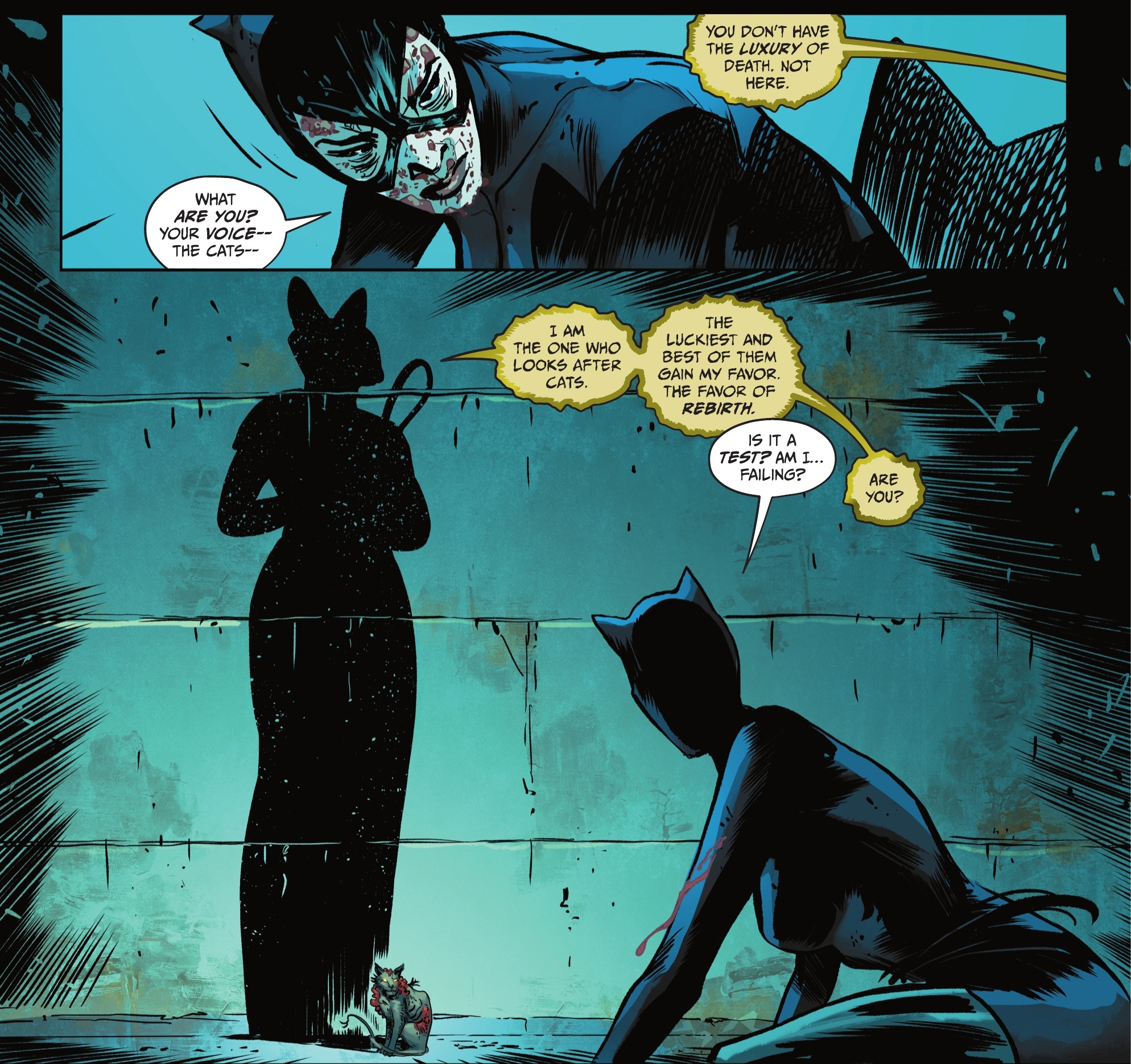 Art de Catwoman #61