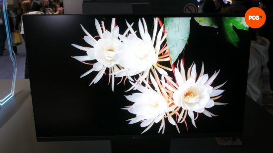 Moniteur TCL CSOT IGZO HFS 8K 120 Hz 03