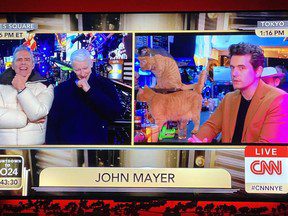 Anderson Cooper et Andy Cohen perdent alors que John Mayer célèbre le Nouvel An au Cat Café