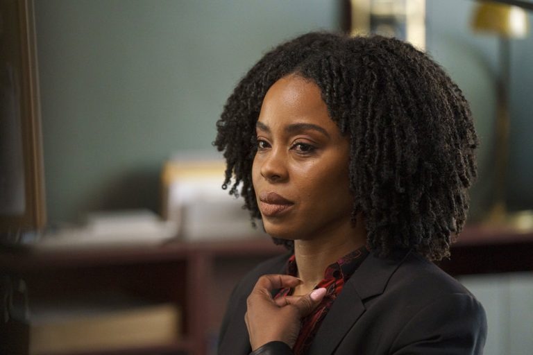 Interview de Danielle Mone Truitt pour la saison 4 du crime organisé – TVLine