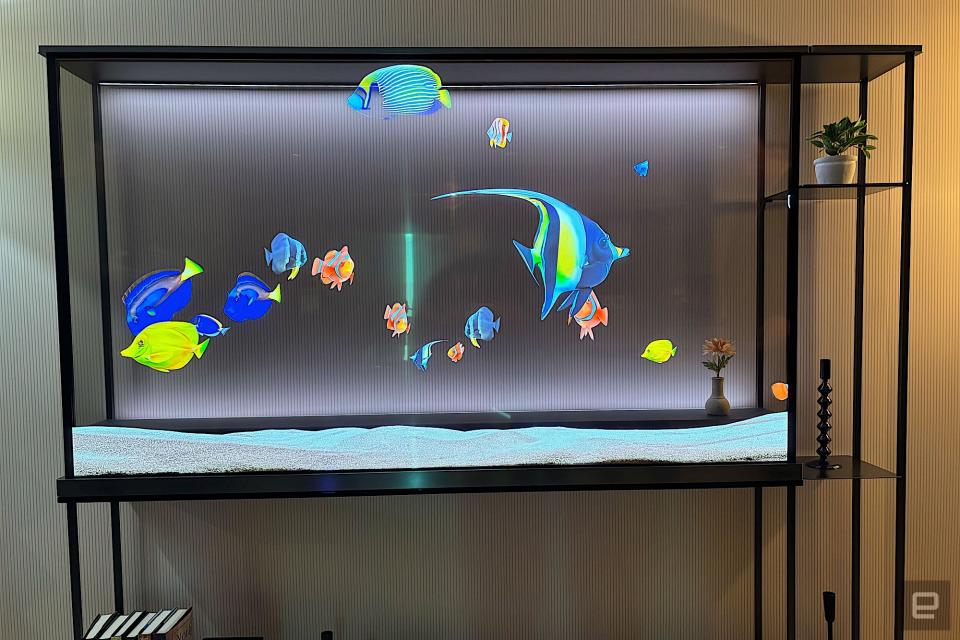 LG OLED T