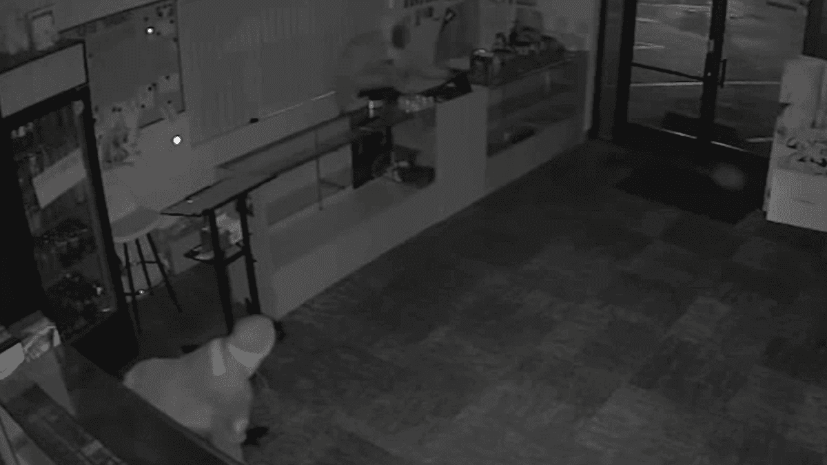 Security camera footage of a criminal robbing Tofu