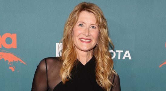 Laura Dern récompensée aux EMA Awards et appelle à une nouvelle approche du débat sur le climat : « La différence entre sauver l’Amérique et la gronder »