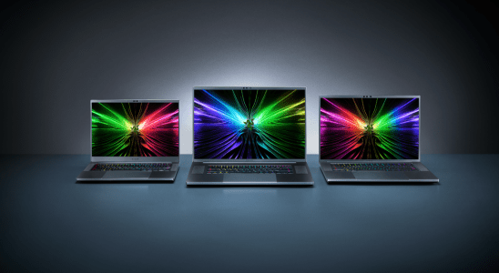 Razer Blade family