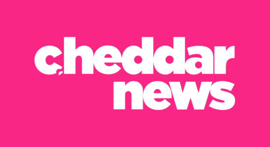 Cheddar News