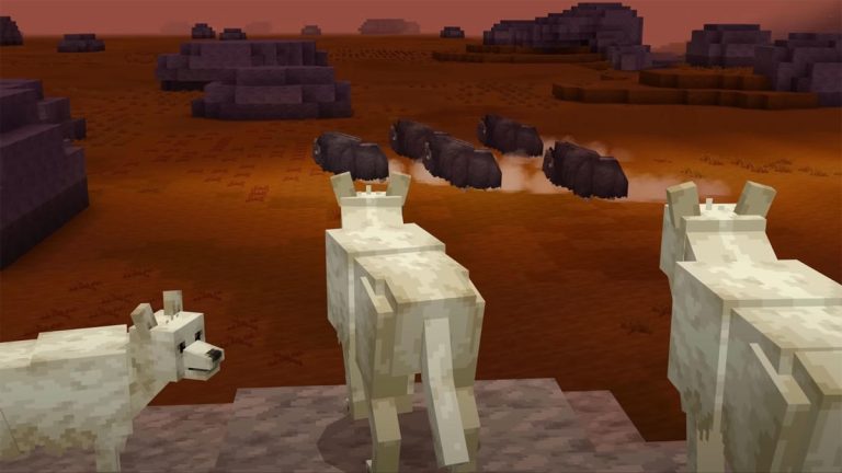 Minecraft x Planet Earth III est la collaboration corporelle la moins offensive de l’année