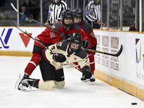 UN SUCCES ÉCLATANTS : Le jeu physique marque un premier match extrêmement réussi de la PWHL à Ottawa