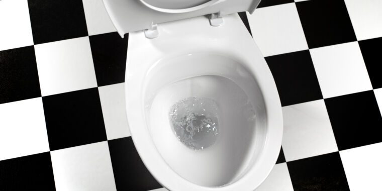 Faut-il tirer la chasse d’eau avec le couvercle des toilettes vers le haut ou vers le bas ?  Une étude dit que cela n’a pas d’importance