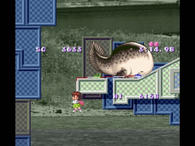 Têtard à pattes géantes d'Umihara Kawase