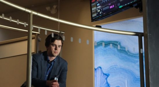 The Good Doctor TV Show on ABC: canceled or renewed?