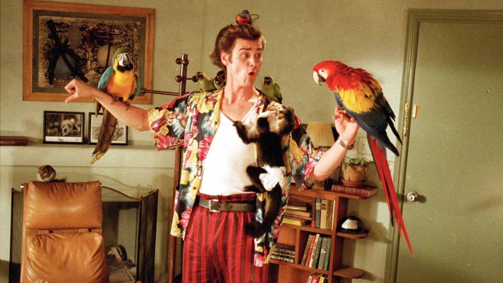 Ace Ventura : Le détective pour animaux de compagnie a fait de Jim Carrey un phénomène au box-office des années 90
