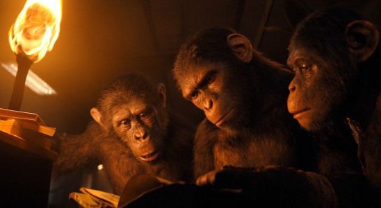 Kingdom of the Planet of the Apes still