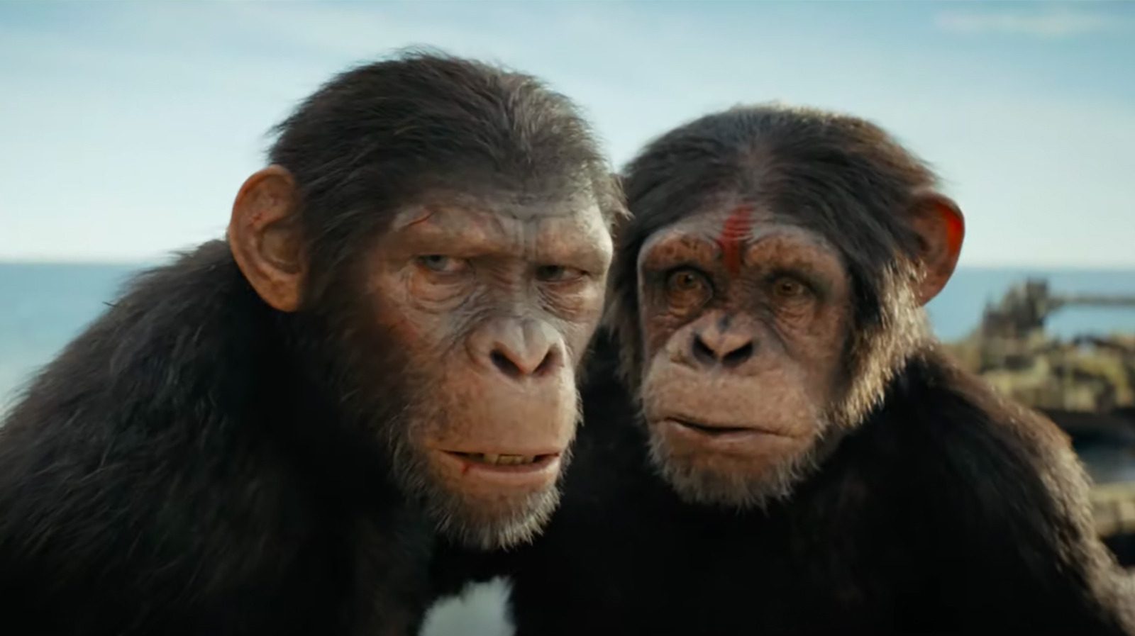 C'était la Terre depuis le début dans le royaume de la planète des singes - Bande-annonce du Super Bowl
