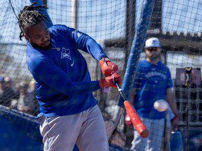 Dans quelle mesure le cogneur des Blue Jays Vladimir Guerrero Jr. se sent-il bien ?  Essayez 2021 bien