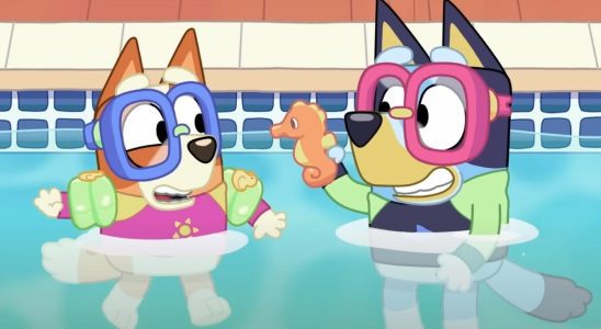 Bingo and Bluey in the pool