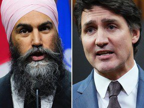 LILLEY : Trudeau et Singh perdent le terrain avec des complots d’épicerie