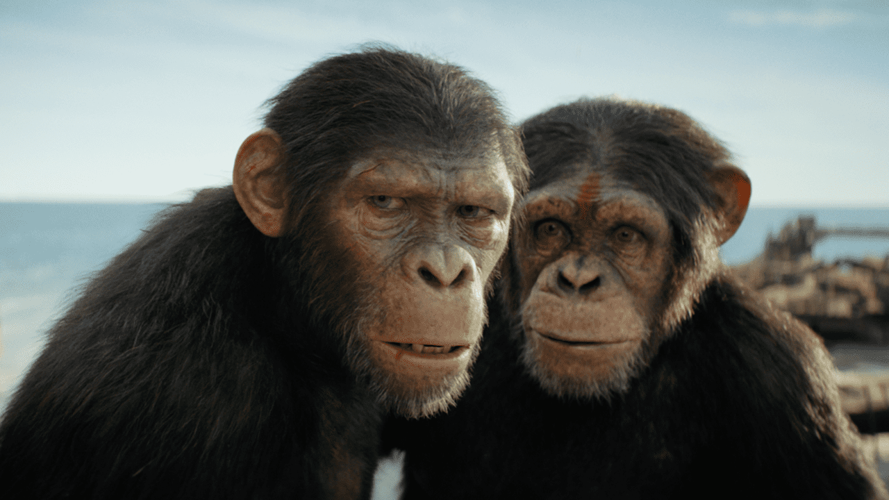 La bande-annonce du Royaume de la planète des singes est un regard épique sur un nouveau monde divisé
