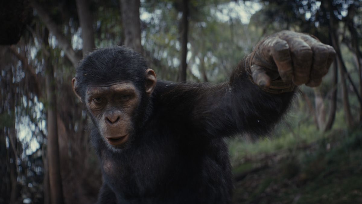 La bande-annonce du Super Bowl du Royaume de la planète des singes présente une aventure épique entre humains et singes après le règne de César
