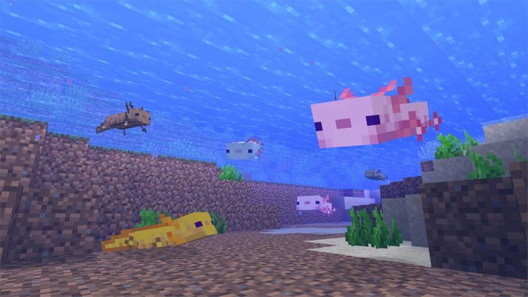 La mise à jour Minecraft 2.82 est supprimée pour la version 1.20.62