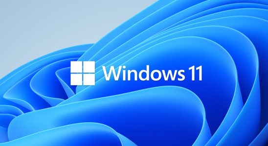 Microsoft Windows 11