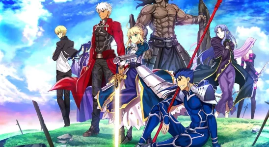 Fate Opinion Piece