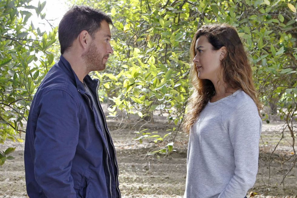 Ziva, joué par Côte de Pablo et Tony, Michael Weatherly, se regardent dans les bois