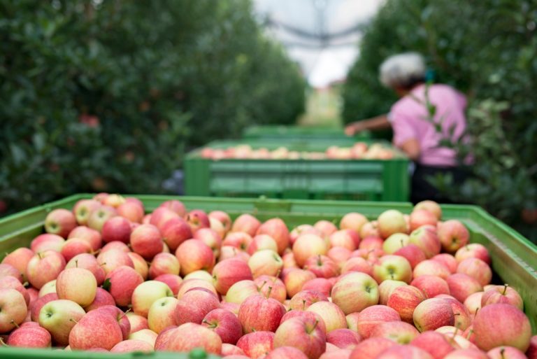 ProducePay lève 38 millions de dollars pour lutter contre le gaspillage de la chaîne d’approvisionnement des produits agricoles