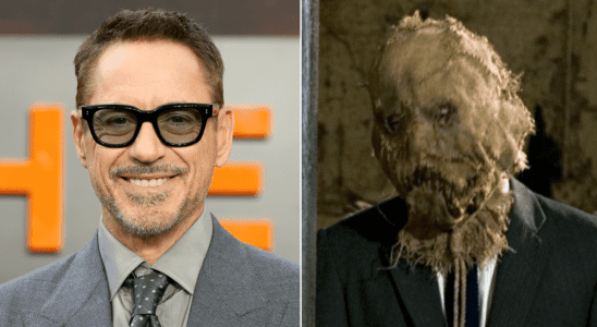 robert downey jr/scarecrow