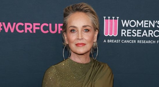 Sharon Stone affirme que la renommée de "Basic Instinct" était si sauvage que la police est venue la protéger lors de la poursuite en voiture d'OJ Simpson