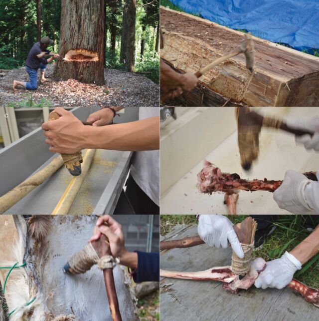 Test de diverses répliques d'outils de l'âge de pierre pour différentes utilisations : A, abattage d'arbres ;  B, bois-adzing ;  C, grattage du bois ;  D, os frais-étonnant ;  E, peau sèche-grattage ;  F, désarticulation d'une articulation.