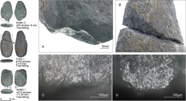 Traces laissées par des expériences d'abattage d'arbres sur des répliques d'outils de l'âge de pierre.  Des traces caractéristiques macroscopiques (en haut) et microscopiques (en bas) pourraient être utilisées pour déterminer comment les bords de la pierre ont été utilisés.