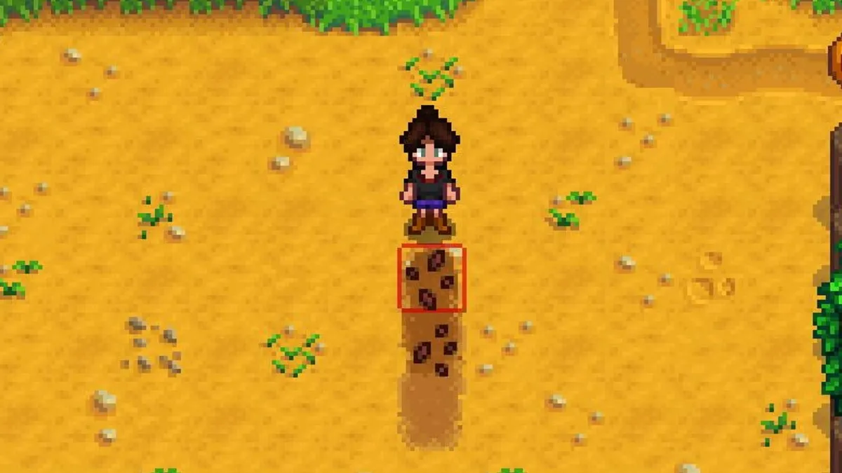 How To Get Carrot Seeds in Stardew Valley