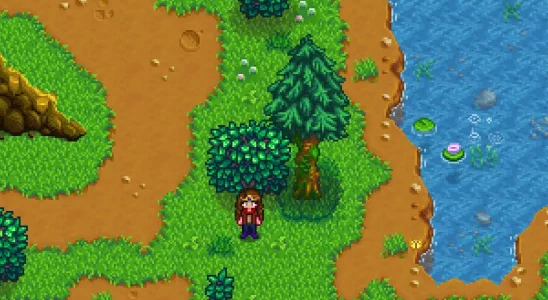 Stardew Valley moss