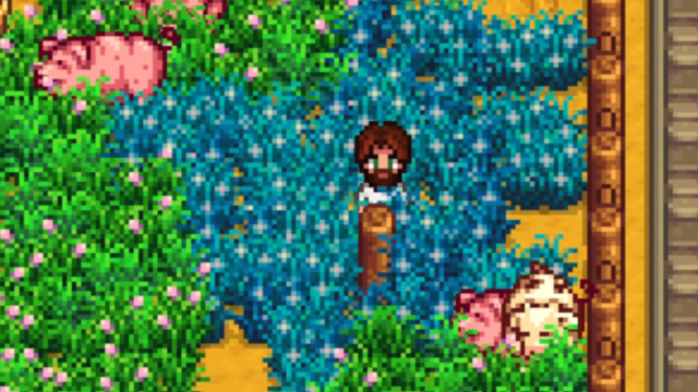 L'herbe bleue à Stardew Valley