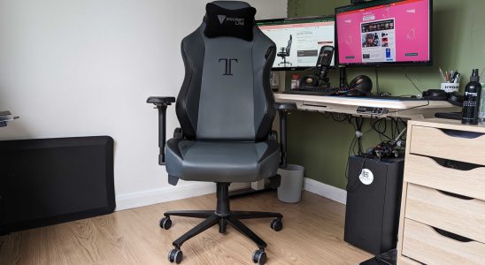 Critique du Secretlab Titan 2020 Ash