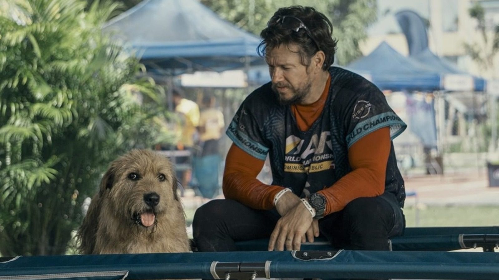 Arthur The King de Mark Wahlberg pourrait être un succès au box-office sous le radar en devenir
