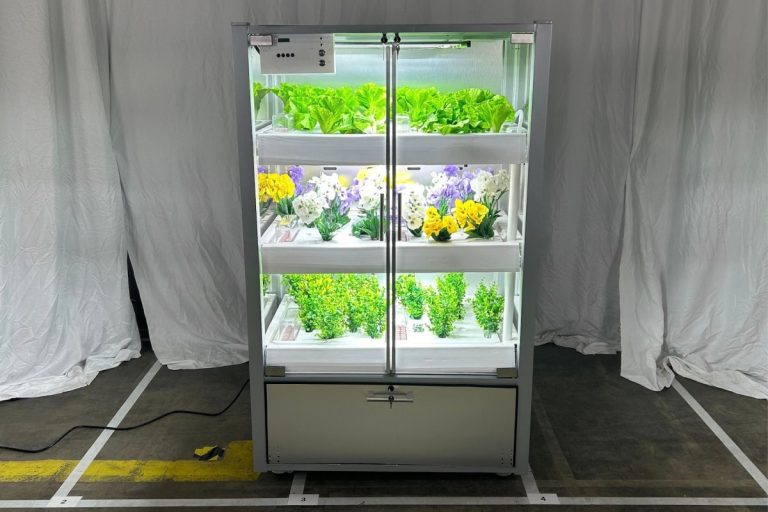 Babylon Micro-Farms introduit l’agriculture verticale dans les classes de la maternelle à la 12e année