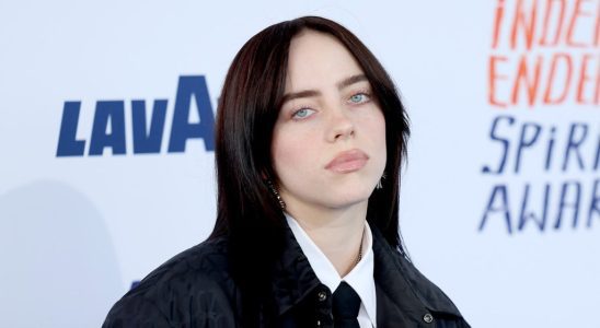 Billie Eilish critique les artistes qui ont sorti plusieurs vinyles uniques de leurs albums : « C'est tellement du gaspillage »