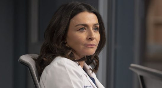 Grey's Anatomy vient peut-être d'introduire un nouvel intérêt amoureux pour Amelia, mais les fans ne peuvent pas arrêter de parler de cette mention de pratique privée