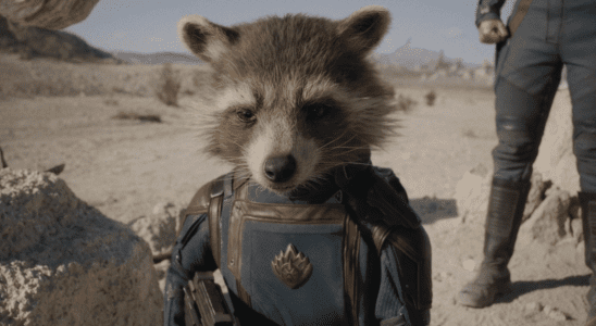 James Gunn des Gardiens de la Galaxie a la réponse la plus douce après que Rocket Raccoon ait été la réponse à un puzzle de la Roue de la Fortune