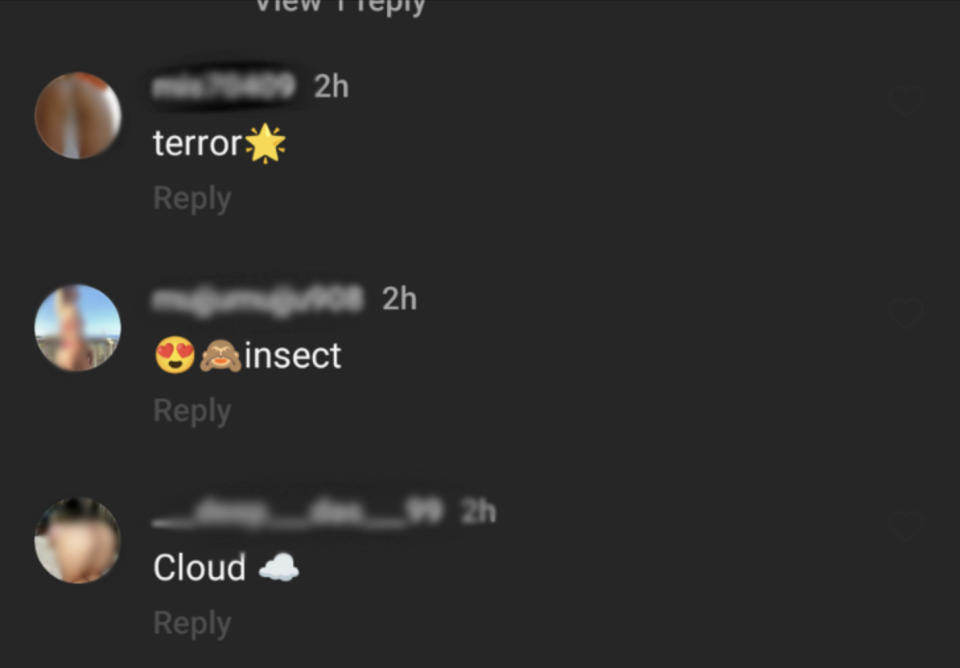 Commentaires de robots pornographiques sur Instagram qui lisent 