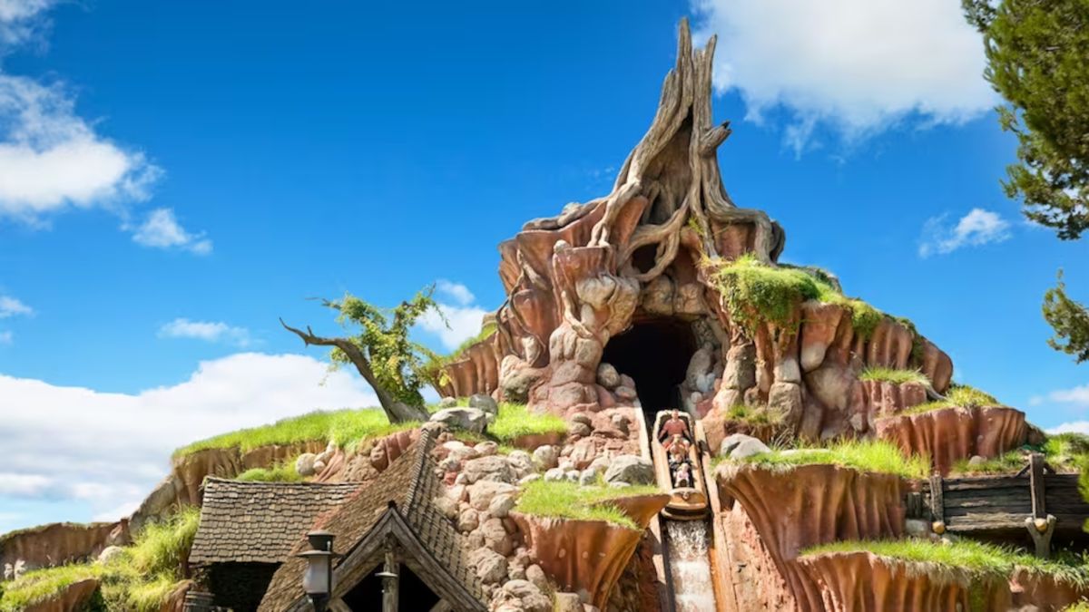  La fermeture de Splash Mountain semble être le résultat du tollé général.  Il s’avère que les travaux étaient en cours depuis bien plus longtemps que nous le pensions 
