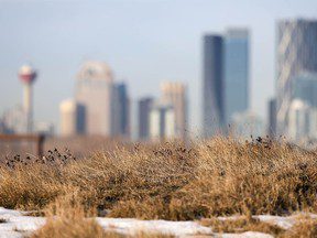 La vague de froid de janvier a entraîné 180 millions de dollars de réclamations d’assurance dans l’Ouest canadien