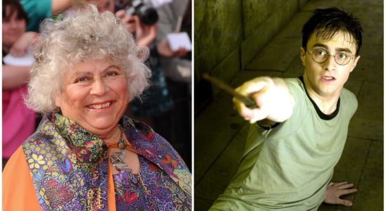 Miriam Margolyes, Harry Potter