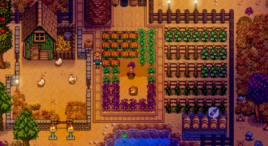 Le dernier aperçu des notes de mise à jour 1.6 de Stardew Valley a soulevé quelques questions de la part des joueurs