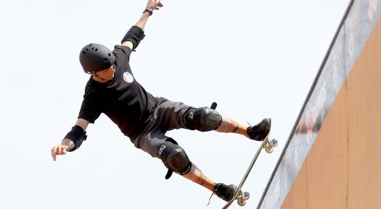 L'émission télévisée d'animation de Tony Hawk destinée aux enfants s'appelle Skatebirds