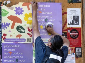 Un homme place une affiche pour les psychédéliques à Toronto.