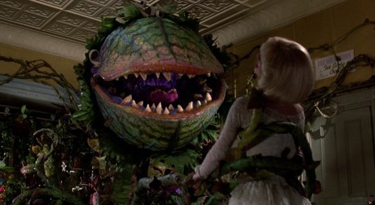 Little Shop Of Horrors est en cours de redémarrage par un réalisateur légendaire de comédie d'horreur